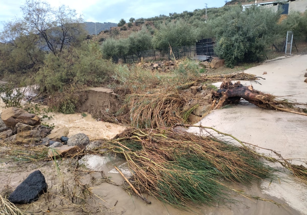 La Junta Empezar El Arreglo De Caminos Rurales Afectados Por La Dana